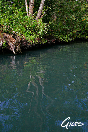 Alpha Pool V