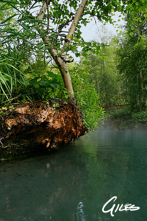 Alpha Pool II