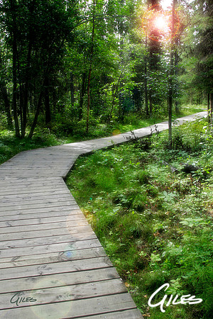 Boardwalk