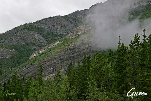 Nestled Cloud