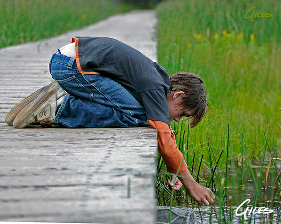 Minow Fishing