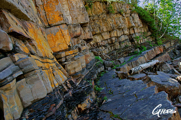 Whirlpool Canyon