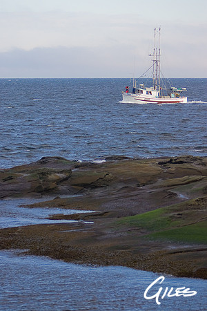 GM-6639